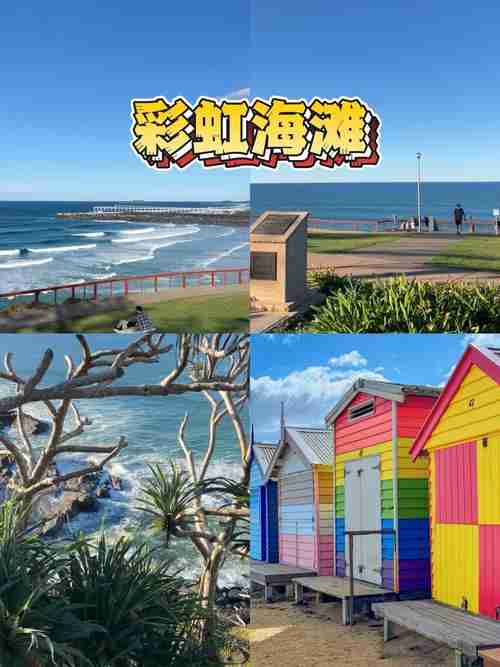 独特澳洲技巧点亮日常,解锁生活色彩新可能