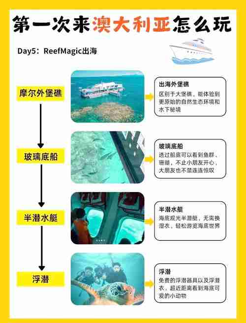 澳洲5怎么玩不踩坑_月省1500元秘诀_全流程避雷指南